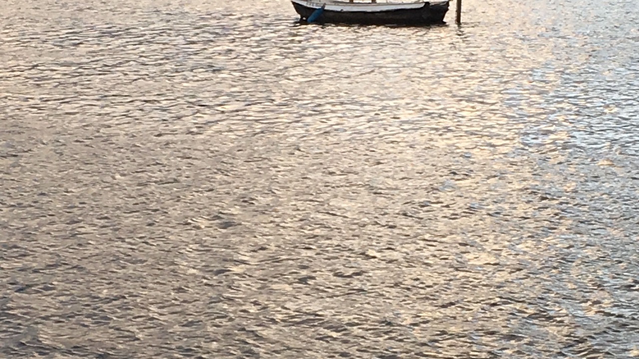 Photo of Others in Amsterdam East