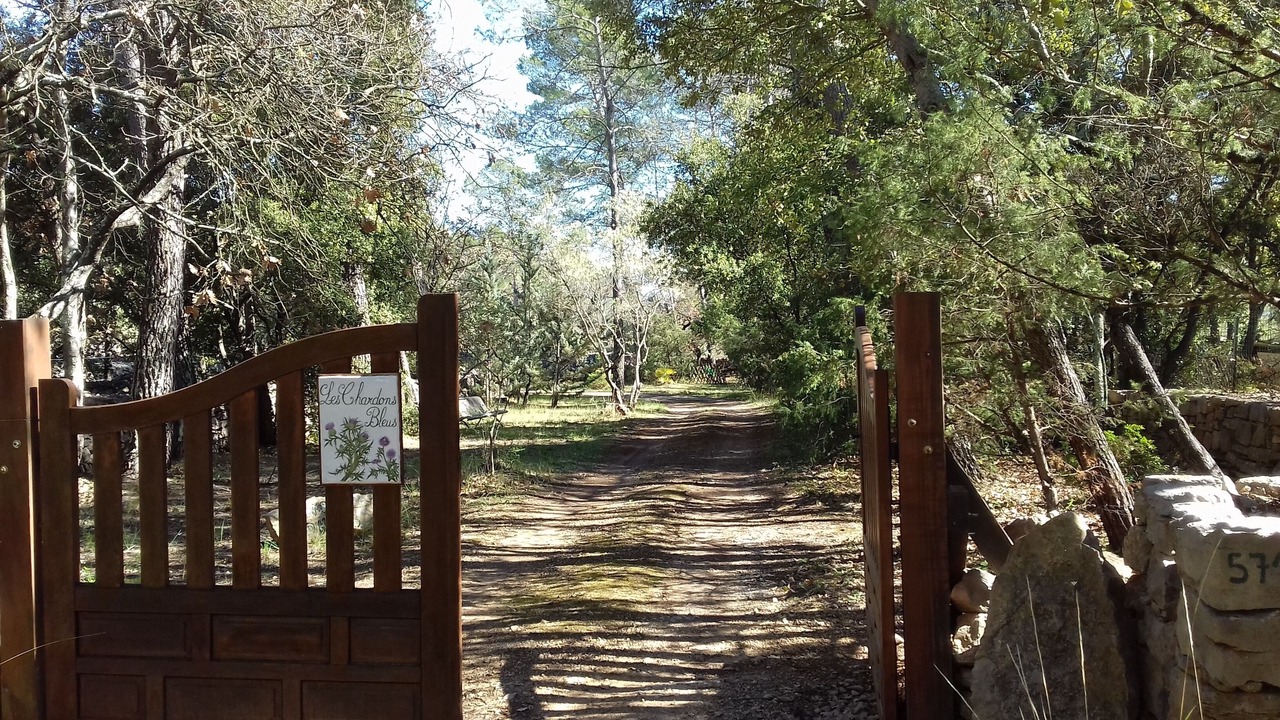 Photo of Outdoor in Lorgues