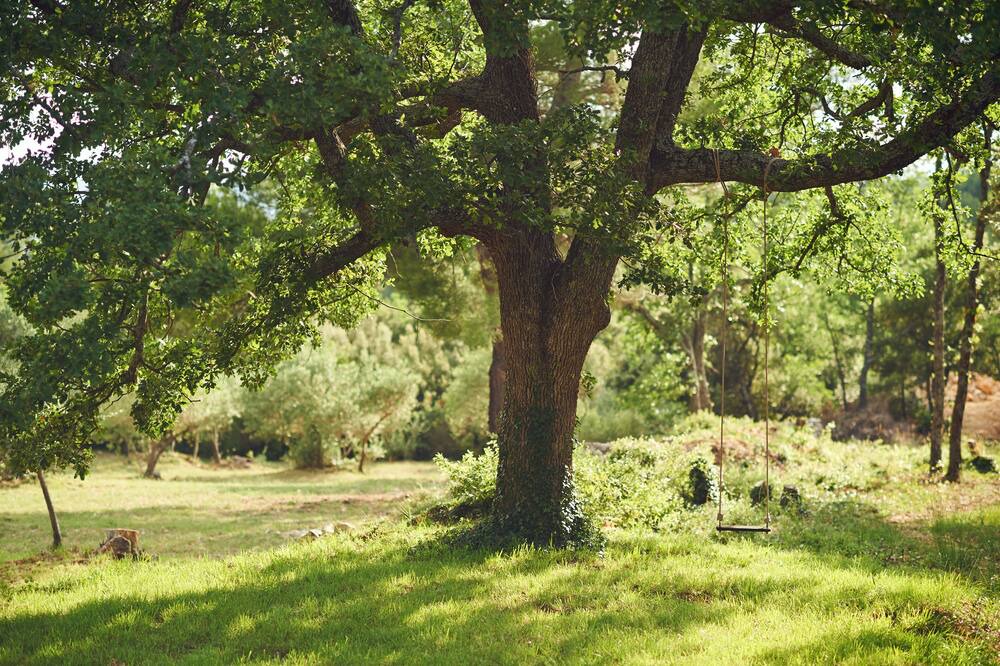 Photo of Outdoor in Aups