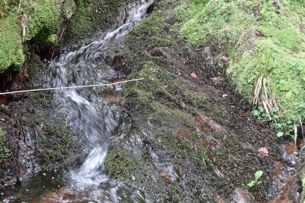 Photo of Outdoor in Le Thillot