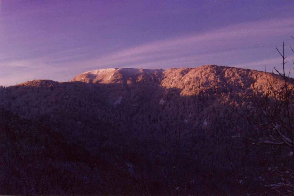 Photo of Others in Le Thillot