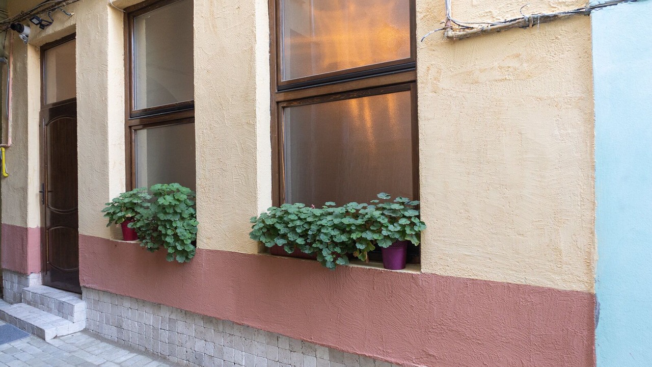 Photo of Outdoor in Bistrita