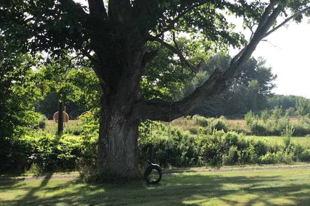 Photo of Outdoor in Canning