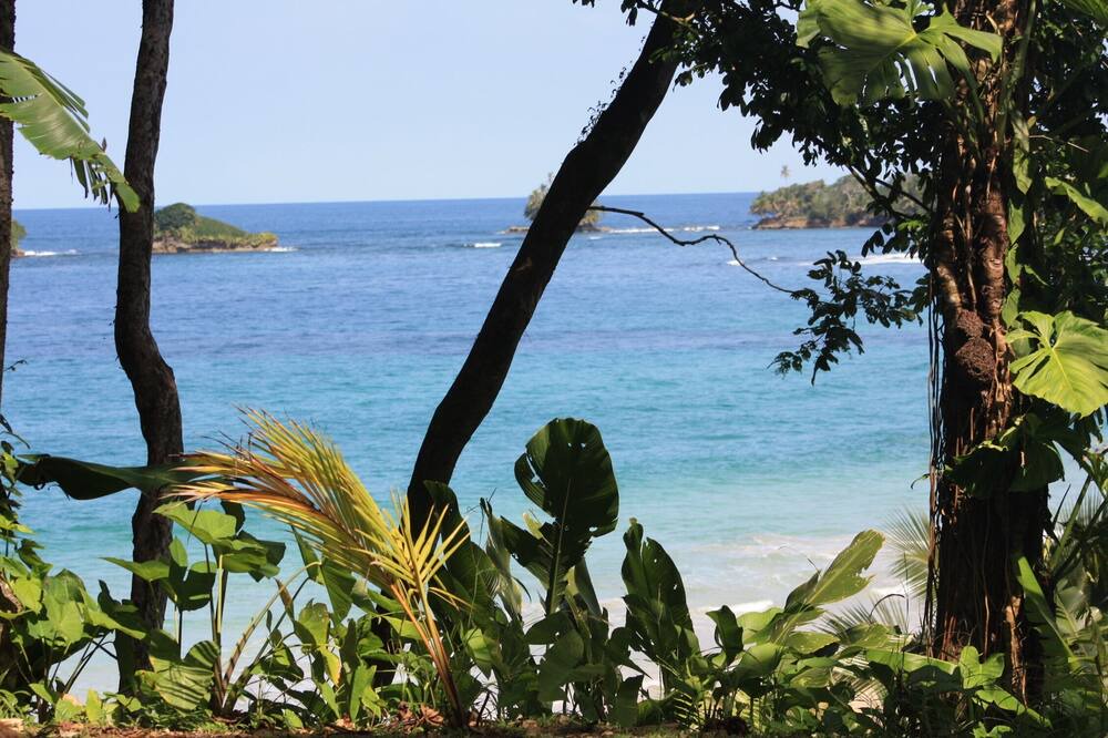 Photo of Others in Isla Bastimentos