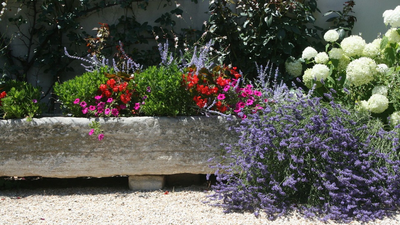 Photo of Outdoor in St.-Remy-de-Provence