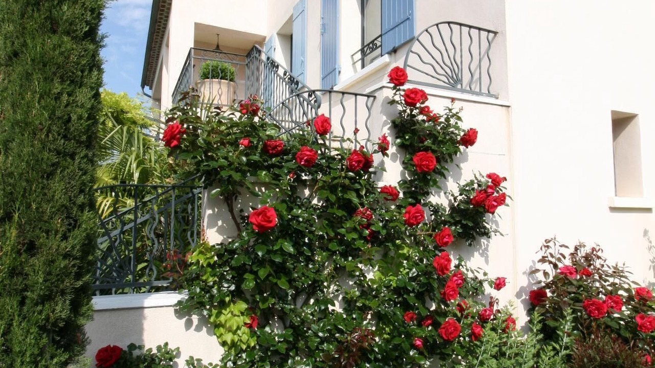 Photo of Outdoor in St.-Remy-de-Provence