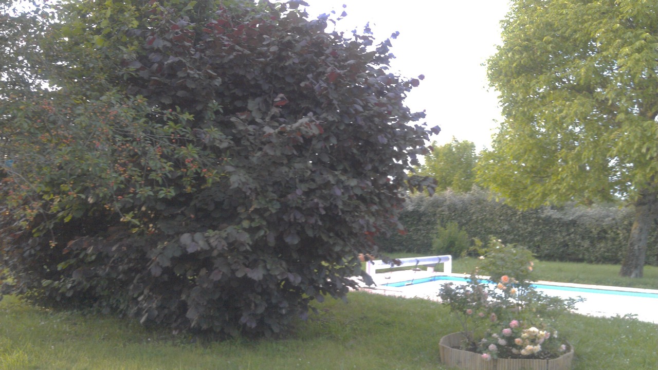 Photo of Outdoor in Dry