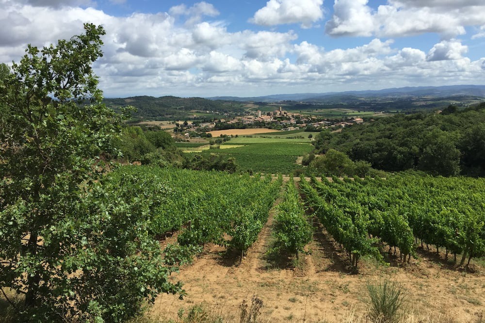 Photo of Others in Villelongue-d'Aude