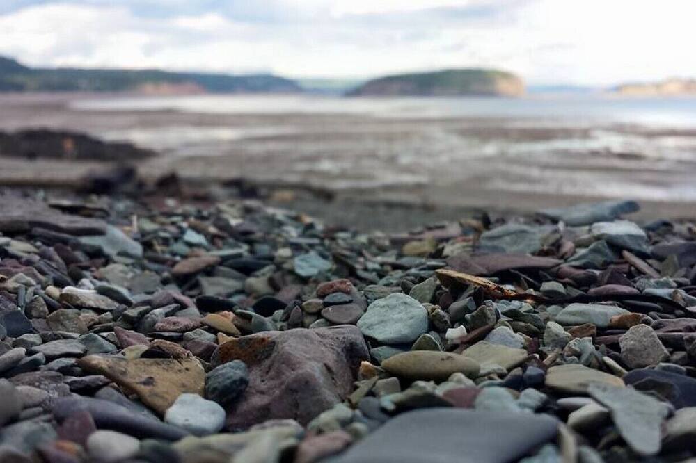 Photo of Others in Parrsboro