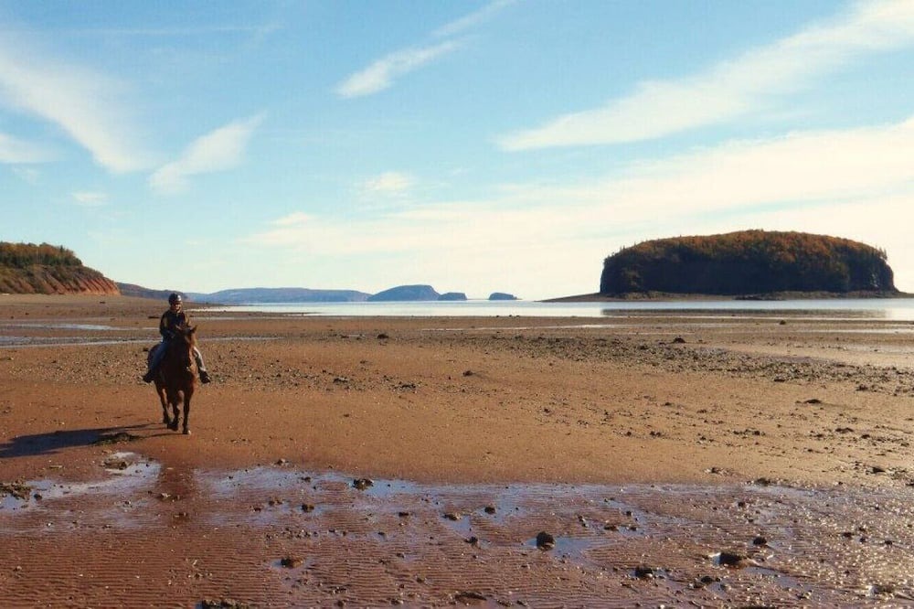 Photo of Others in Parrsboro