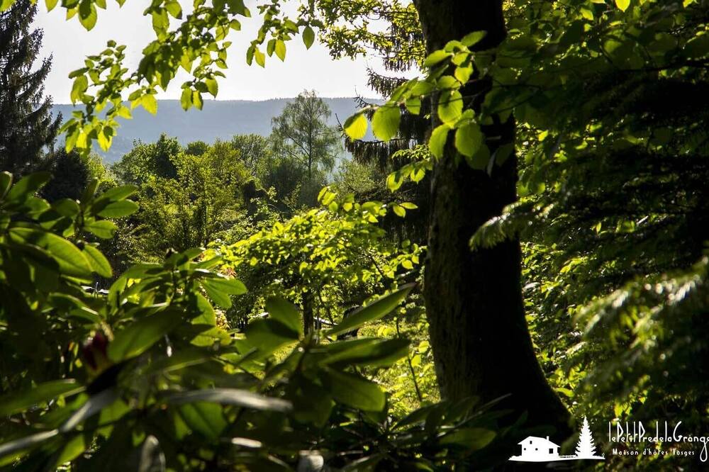 Photo of Outdoor in Vecoux