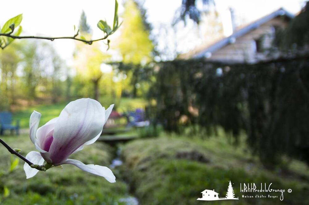 Photo of Outdoor in Vecoux