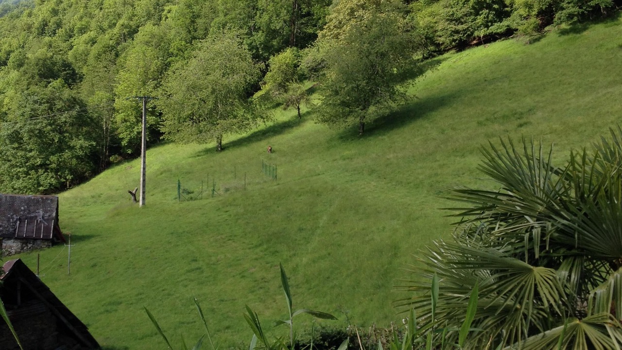 Photo of Outdoor in Sengouagnet