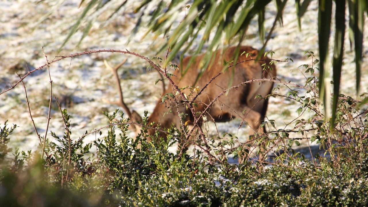 Photo of Outdoor in Sengouagnet