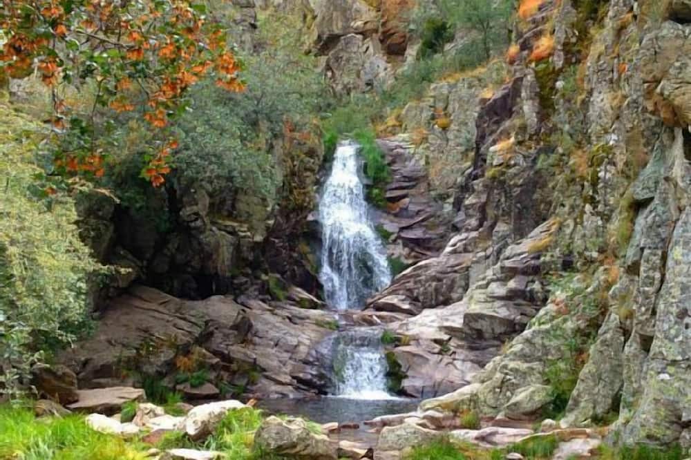 Photo of Outdoor in Rascafria