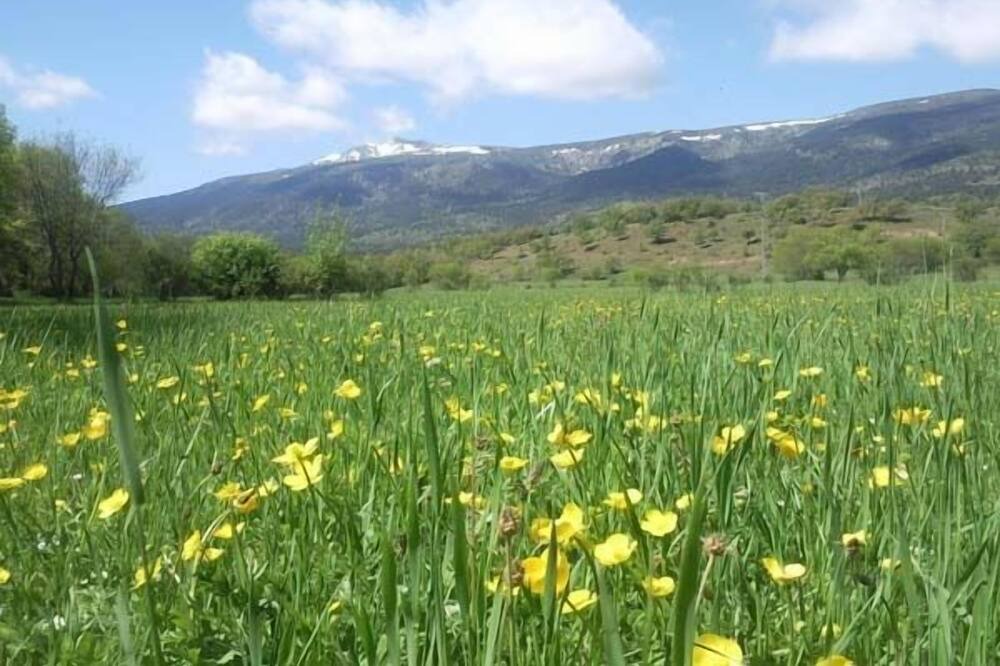 Photo of Outdoor in Rascafria