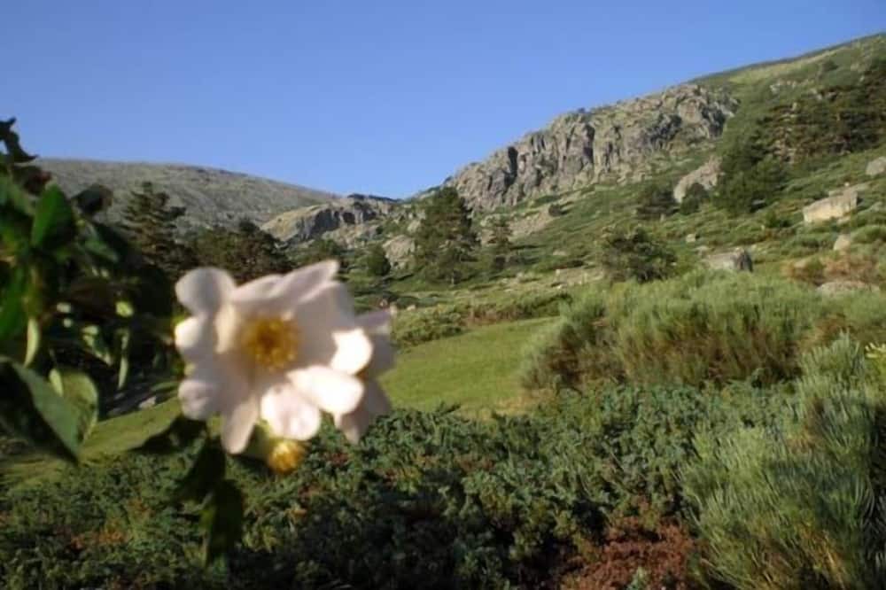 Photo of Outdoor in Rascafria