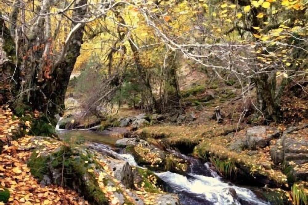 Photo of Outdoor in Rascafria
