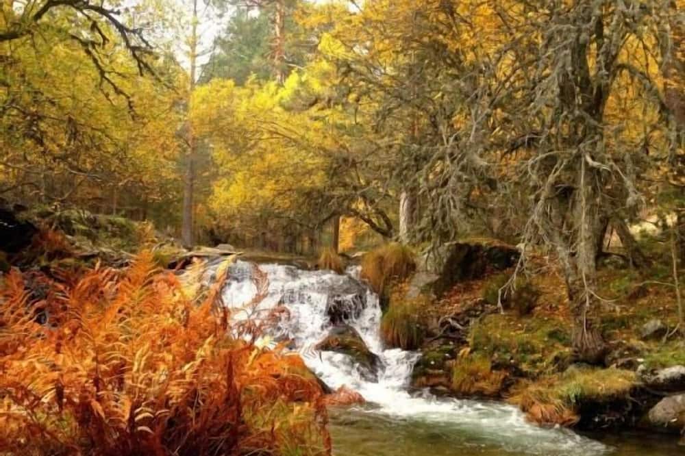 Photo of Outdoor in Rascafria