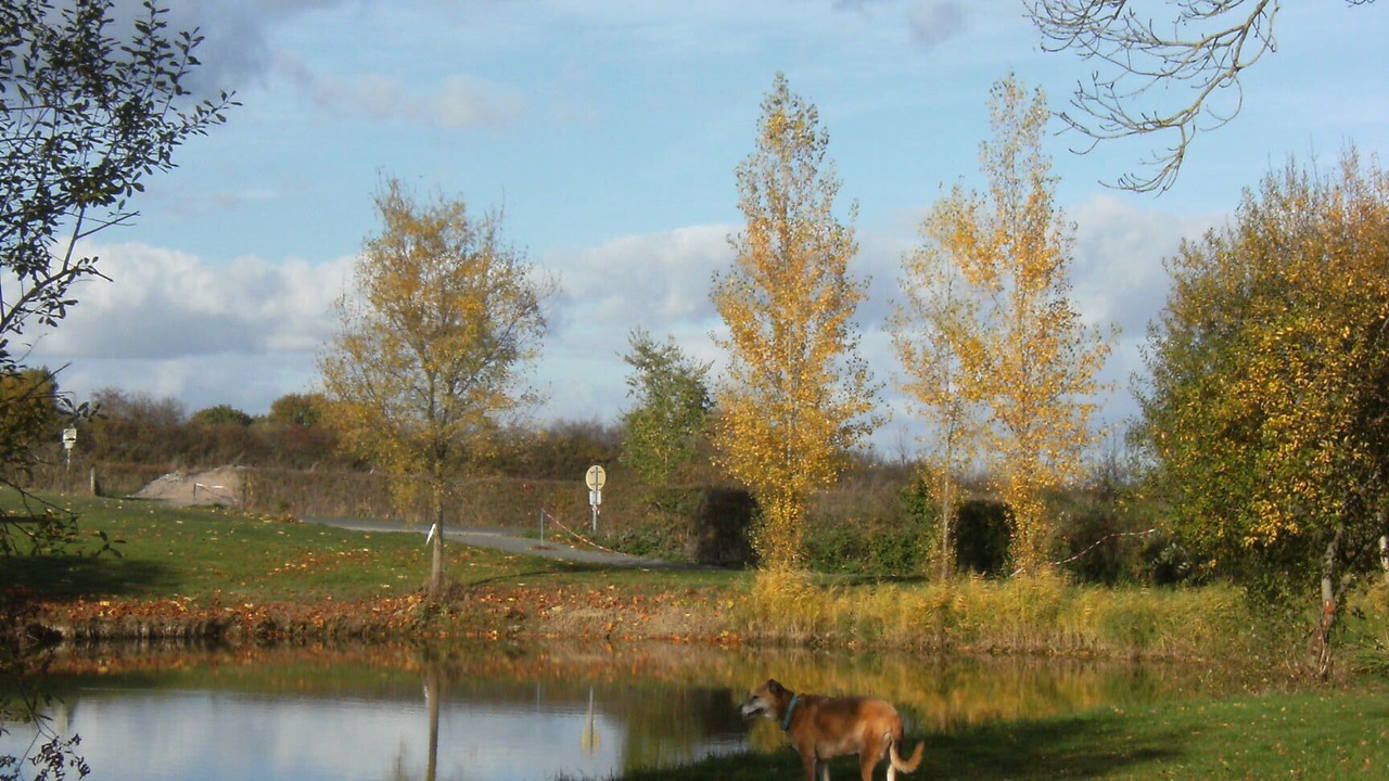 Photo of Outdoor in Genneton