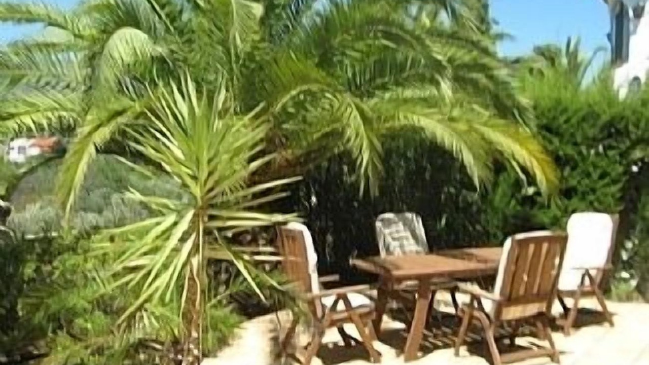 Photo of Outdoor in Orba