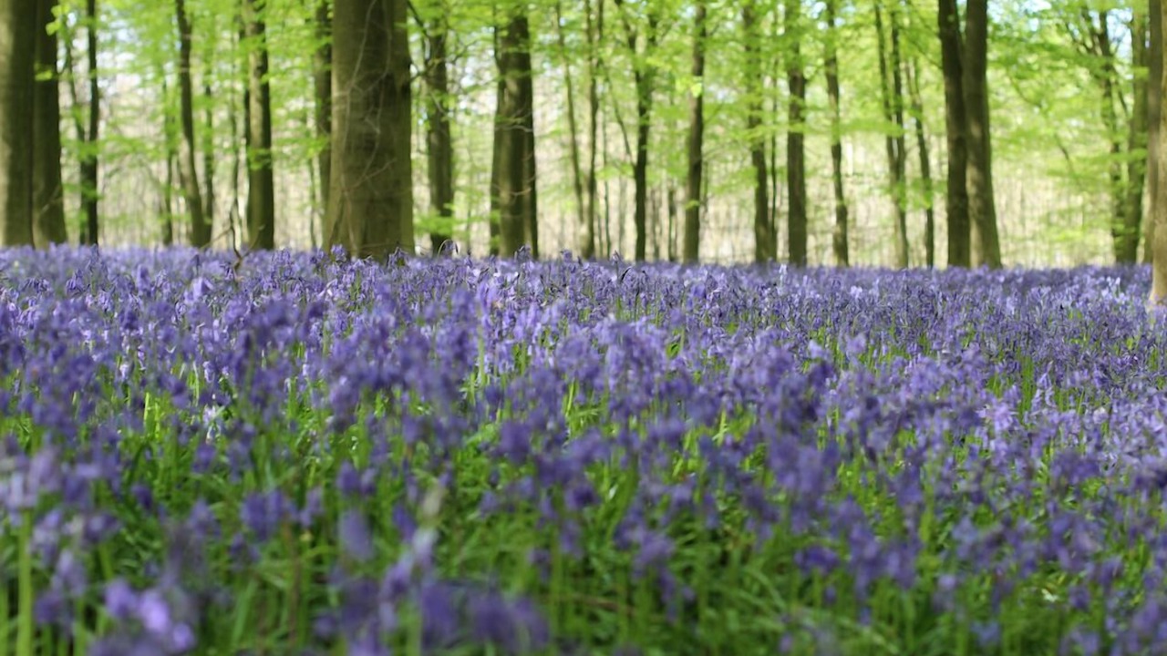 Photo of Outdoor in Ashford