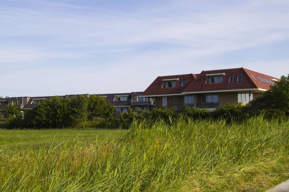 Photo of Outdoor in Midsland