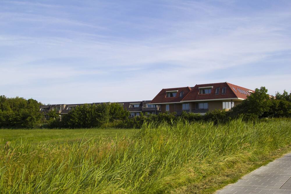 Photo of Outdoor in Midsland