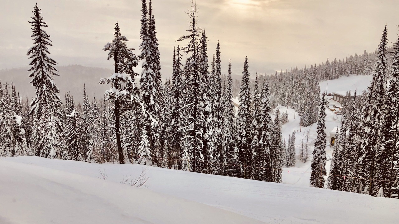 Photo of Others in Silver Star Mountain