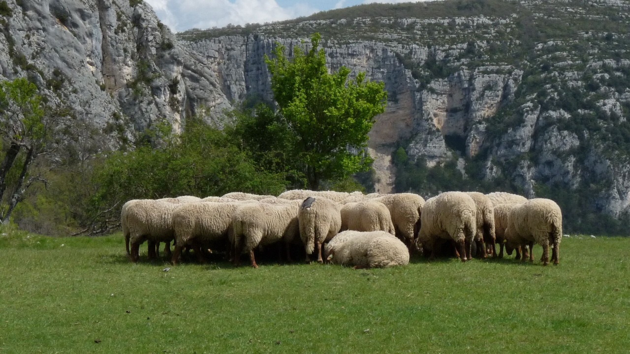 Photo of Outdoor in Rougon