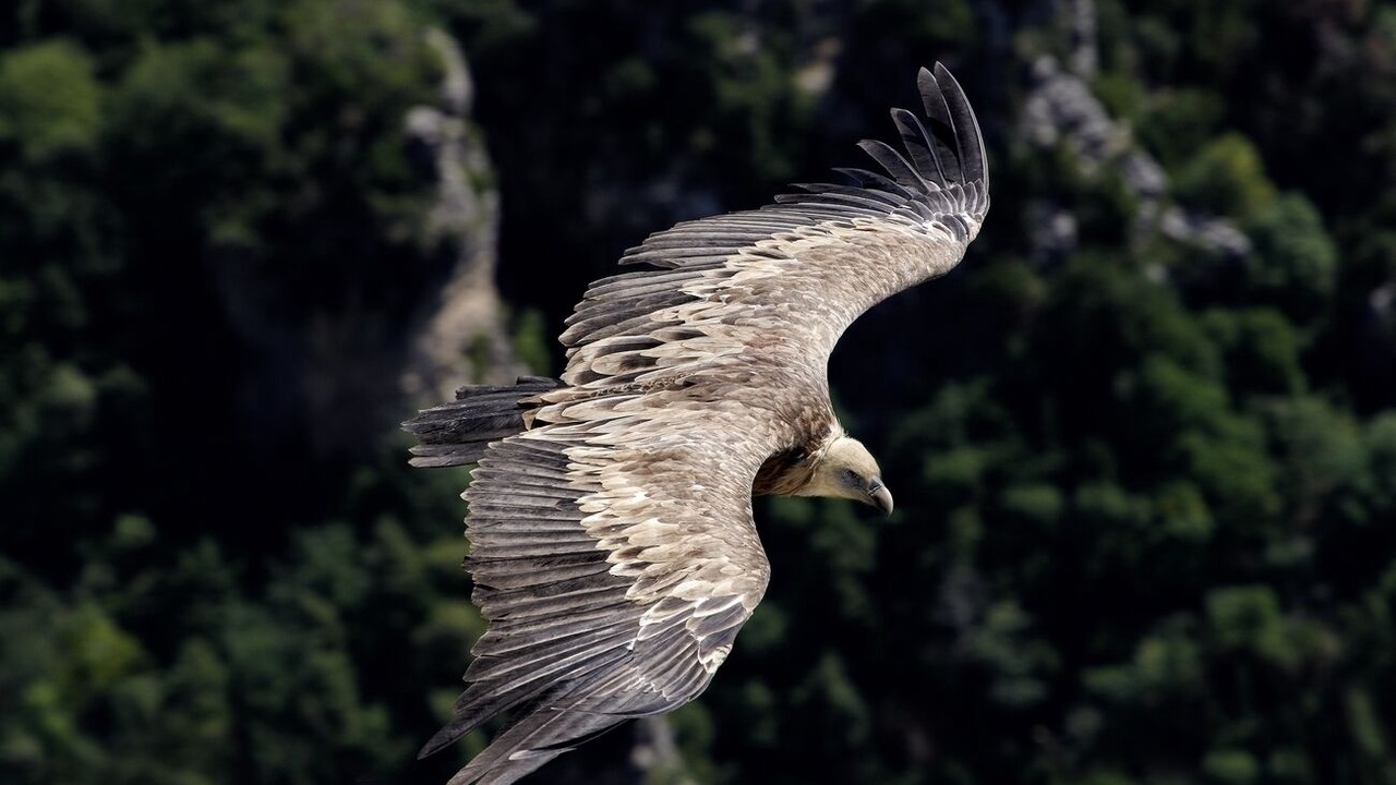 Photo of Outdoor in Rougon