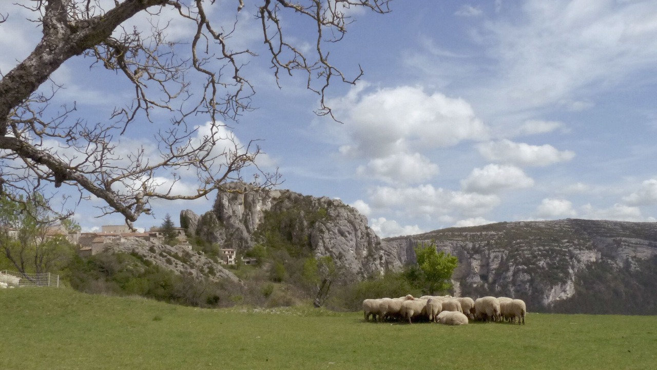 Photo of Outdoor in Rougon