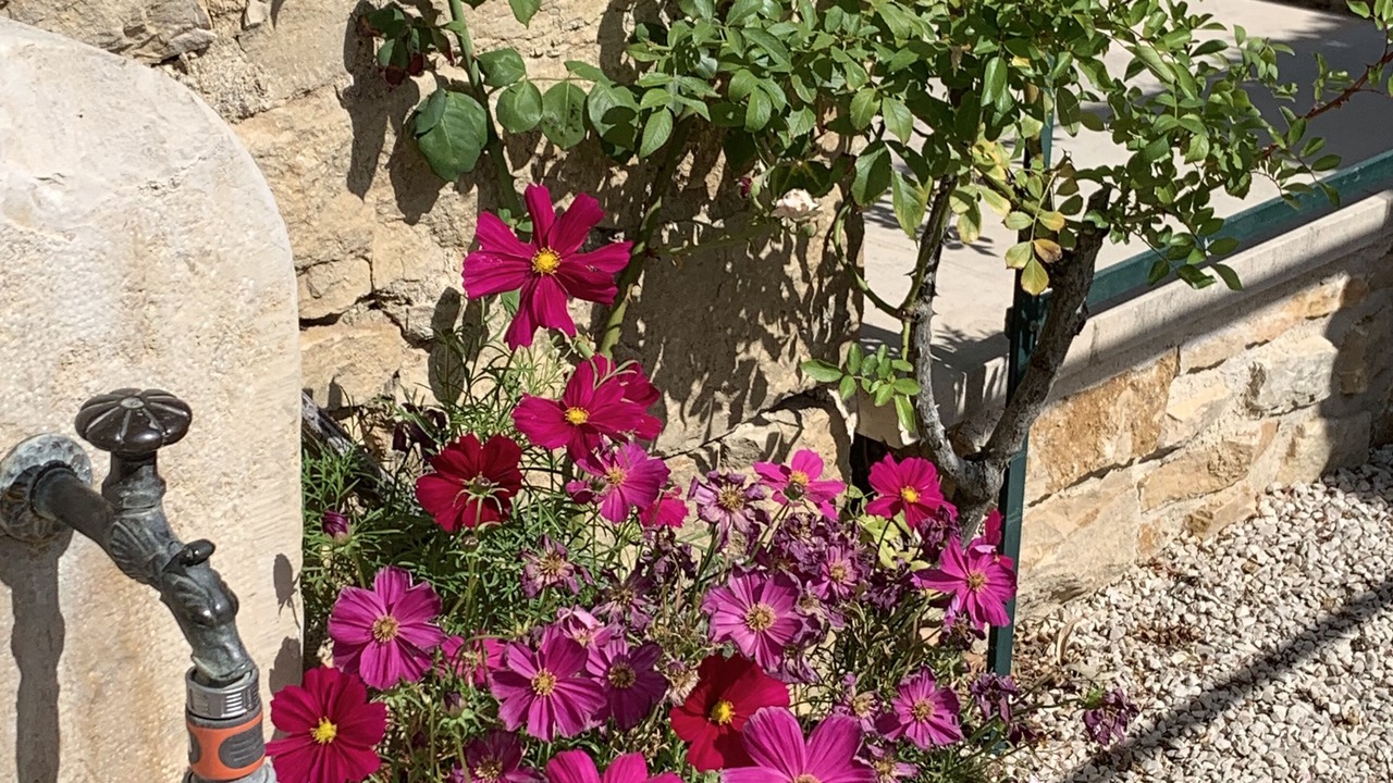 Photo of Outdoor in Meursault
