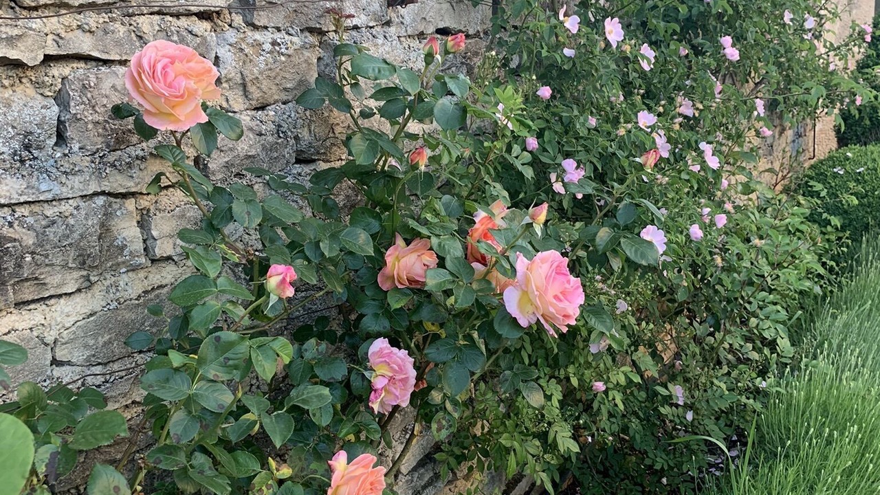 Photo of Outdoor in Meursault