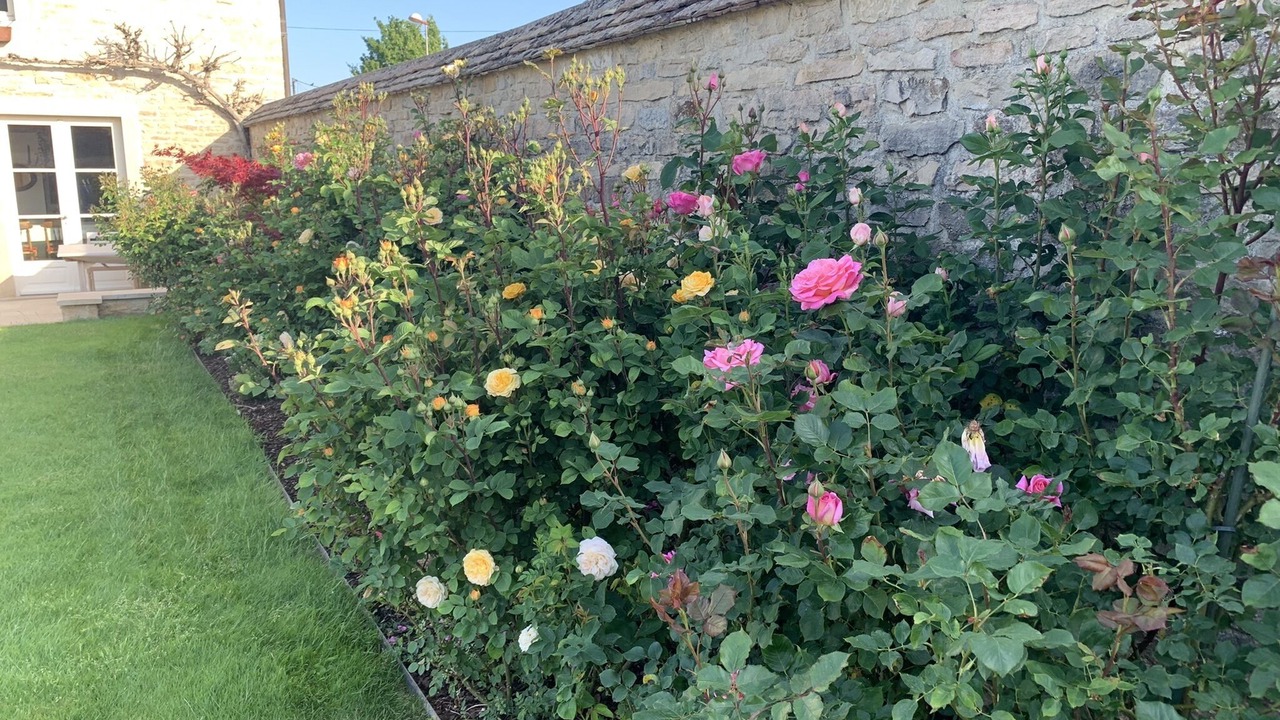 Photo of Outdoor in Meursault
