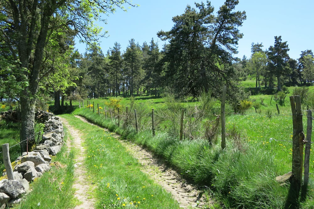 Photo of Outdoor in Saint-Sauveur-de-Peyre