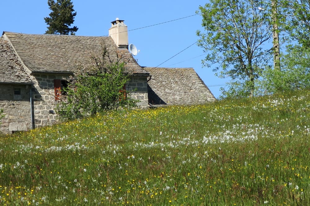 Photo of Outdoor in Saint-Sauveur-de-Peyre