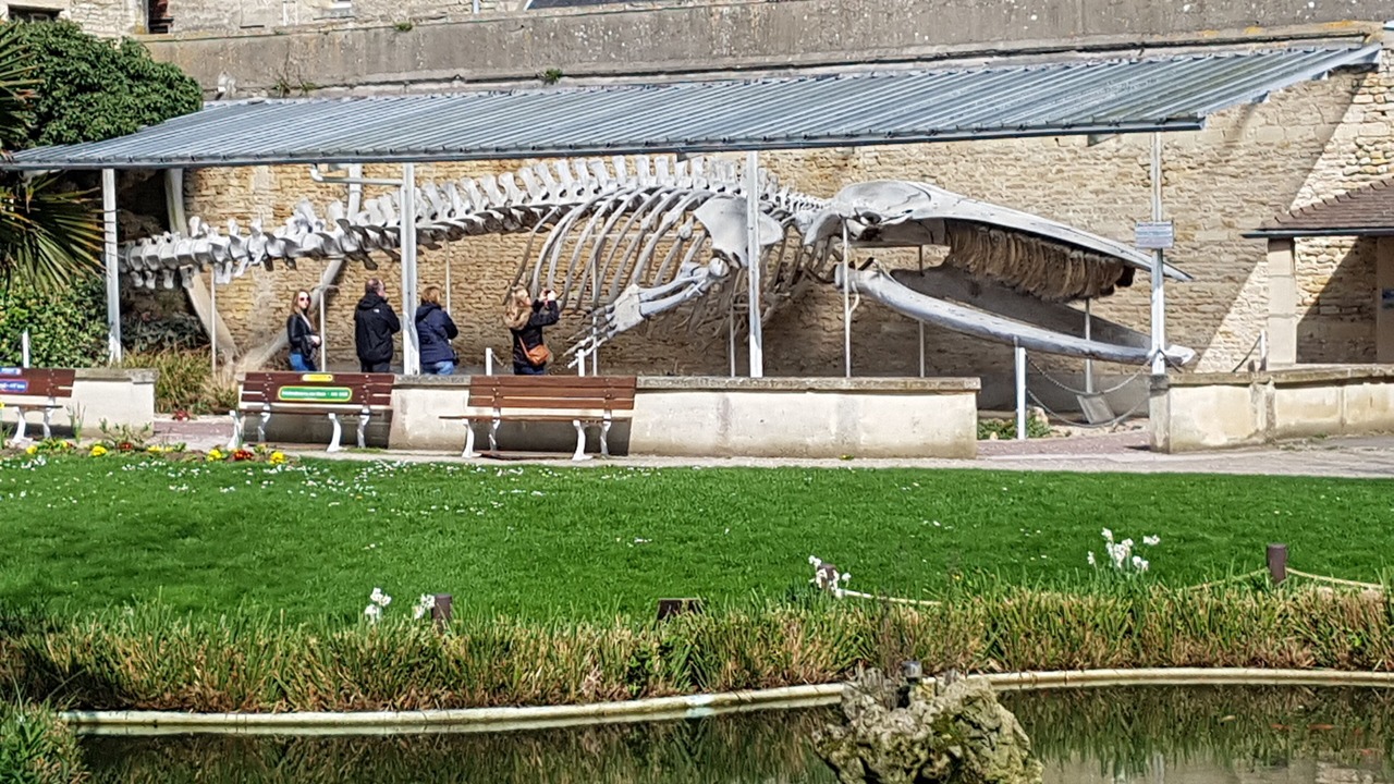 Photo of Outdoor in Luc-sur-Mer