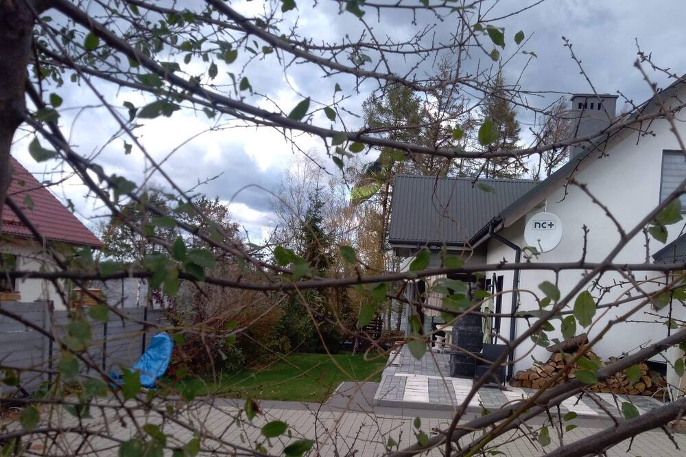 Photo of Outdoor in Pszczyna