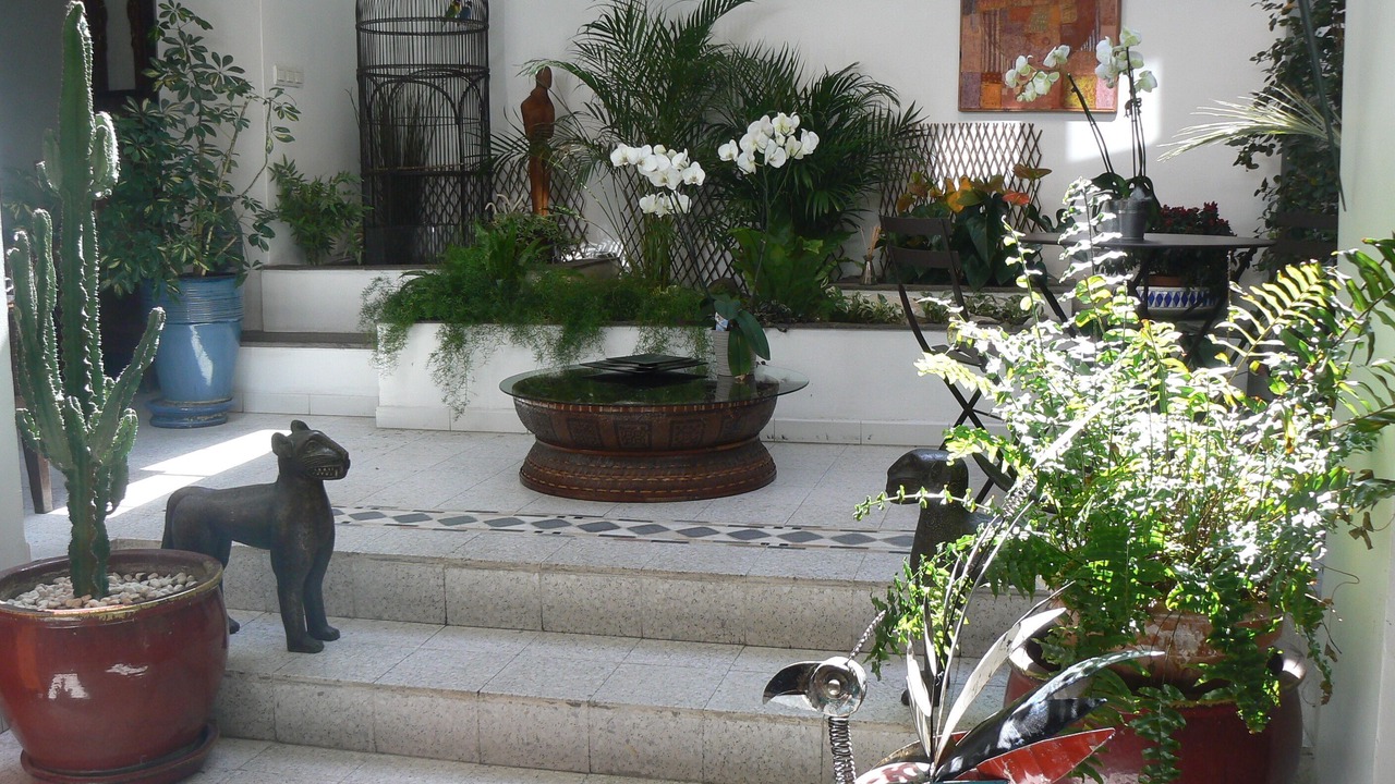 Photo of Outdoor in Clermont Ferrand City Centre