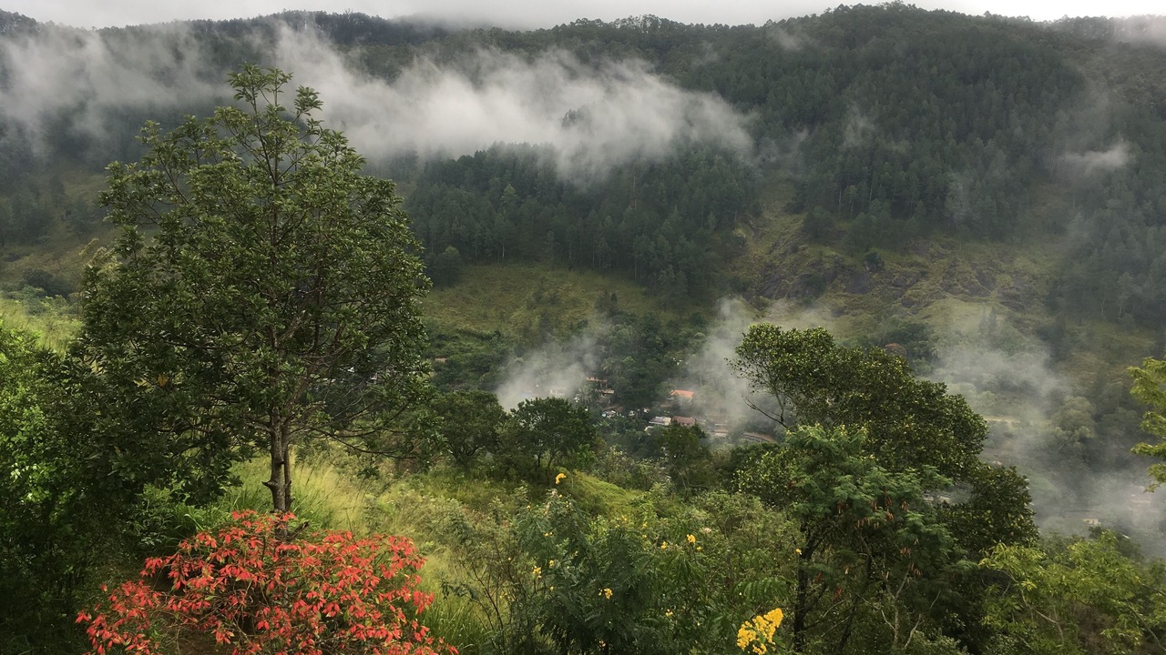 Photo of Outdoor in Ella