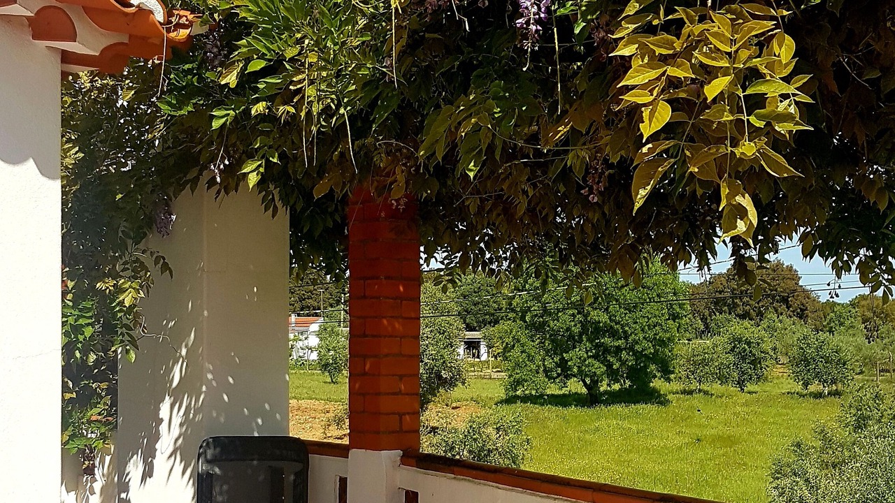 Photo of Patio Balcony in Abrantes