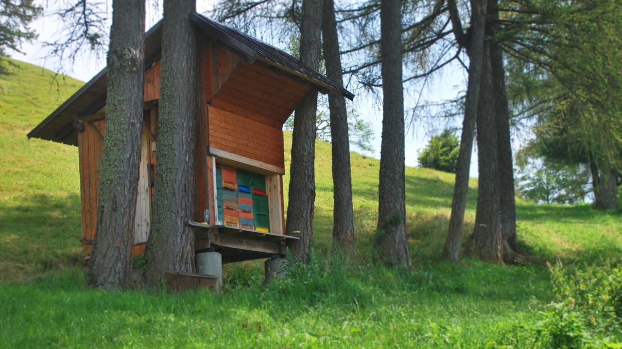 Photo of Outdoor in Ambroz pod Krvavcem