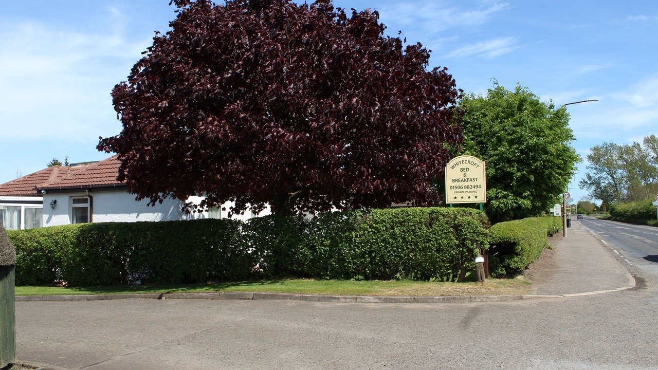 Photo of Outdoor in Livingston
