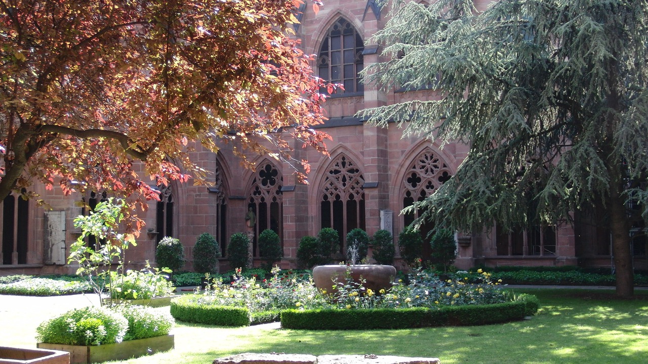 Photo of Outdoor in Mainz