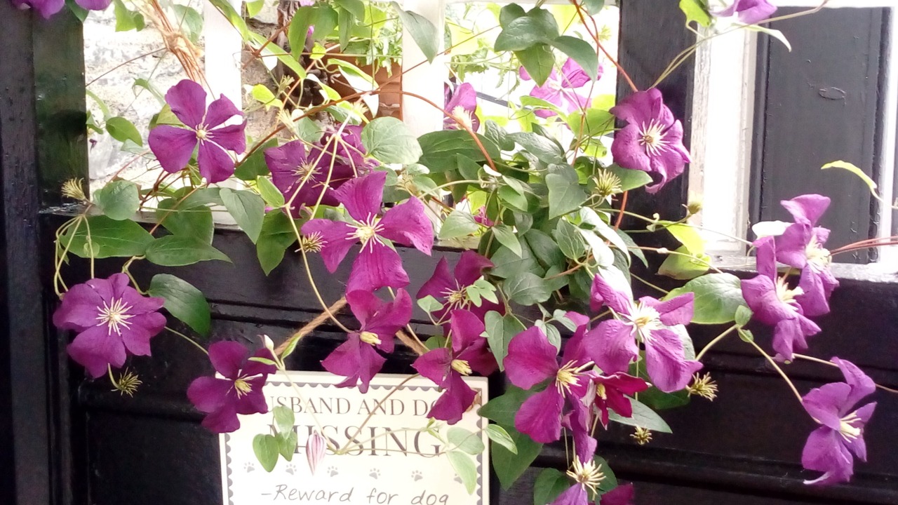 Photo of Outdoor in Bowness-on-Windermere