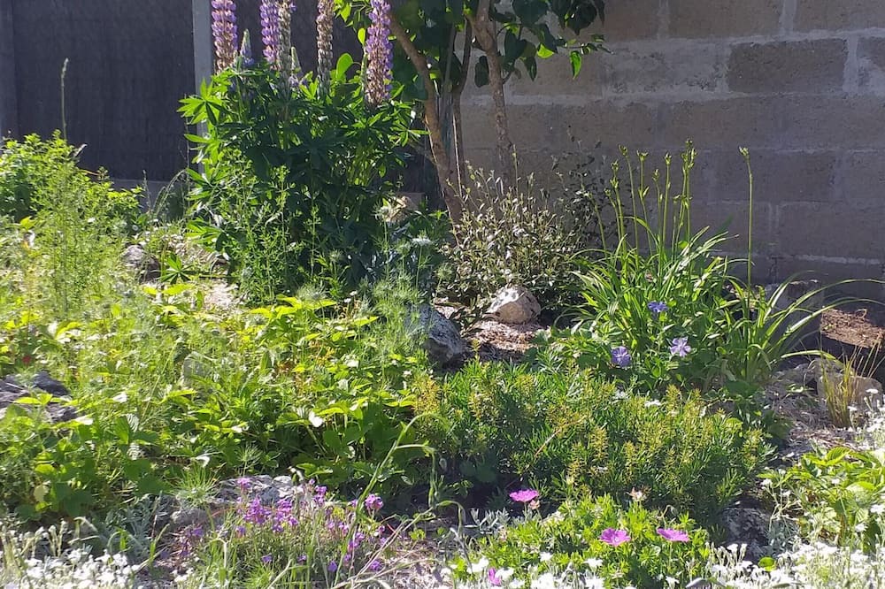 Photo of Outdoor in Saint-Gervais-la-Foret