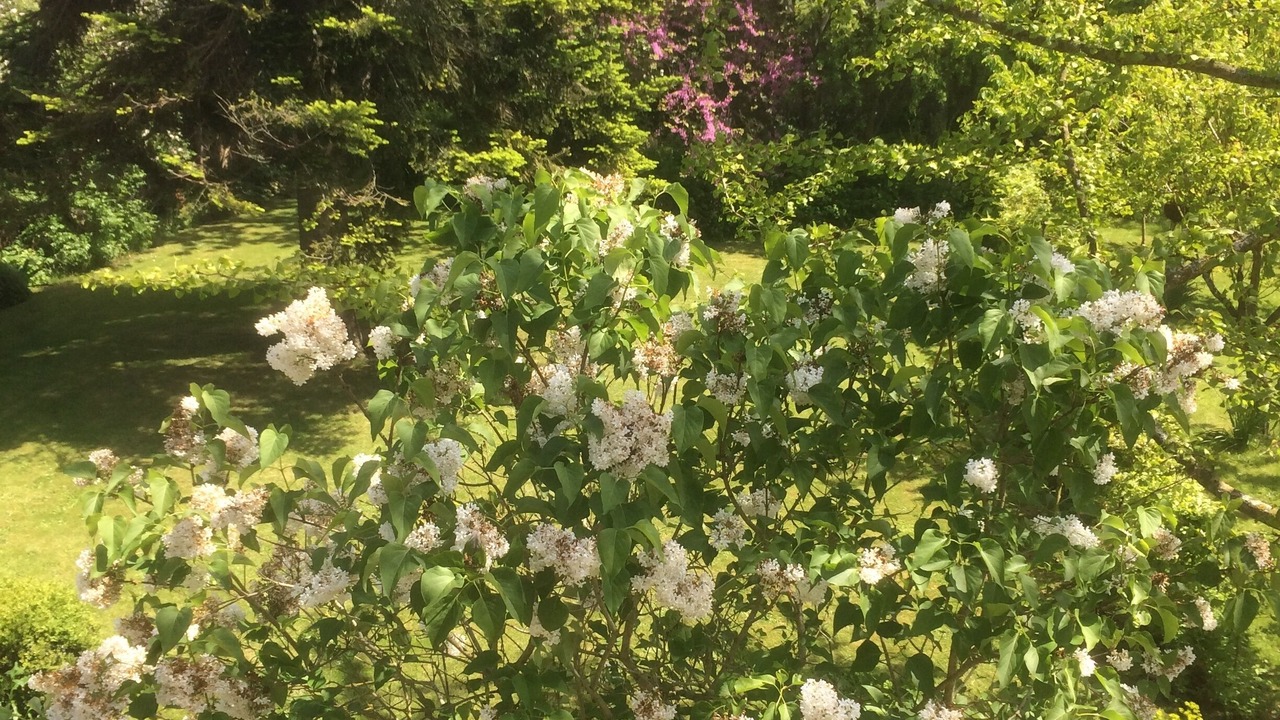 Photo of Outdoor in Saint-Martin-des-Entrees
