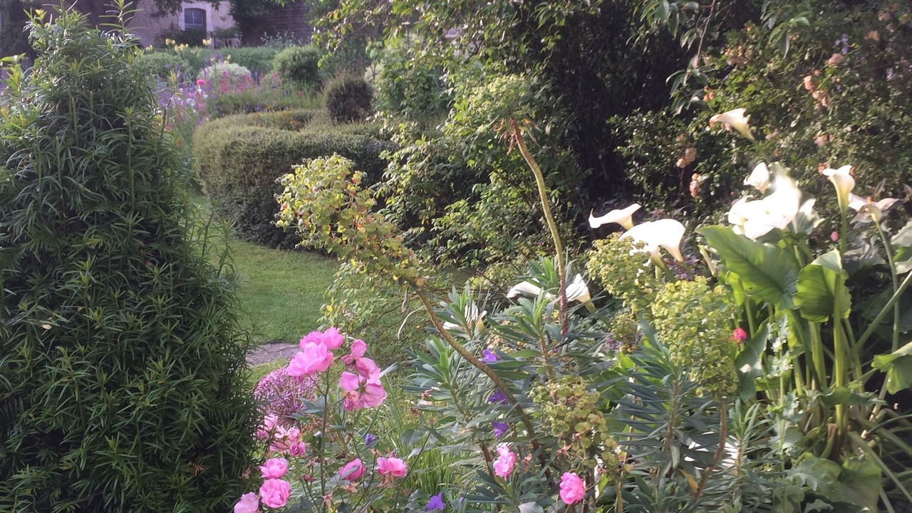 Photo of Outdoor in Saint-Martin-des-Entrees