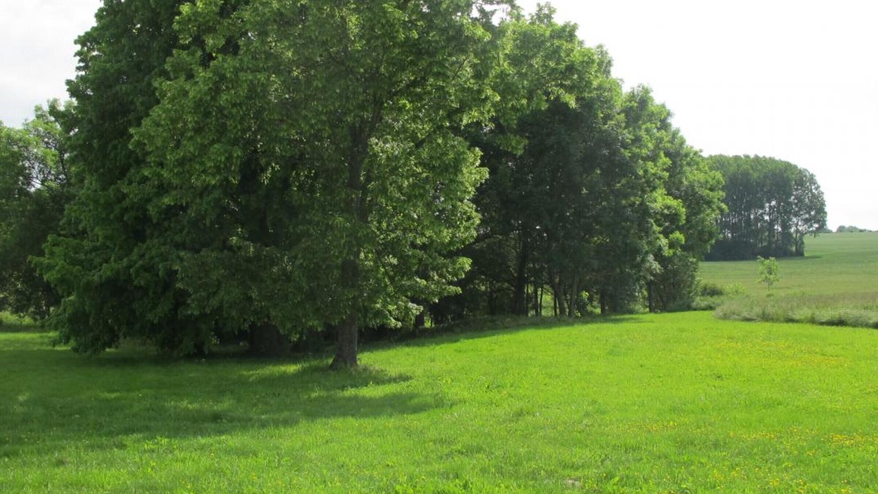 Photo of Outdoor in Cindre